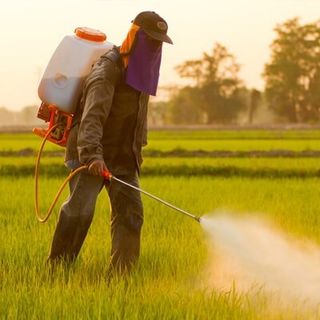 Spraying Pesticide — Pest Control in Danville, VA