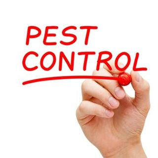 Pest Control Handwriting with Red Marker — Pest Control in Danville, VA