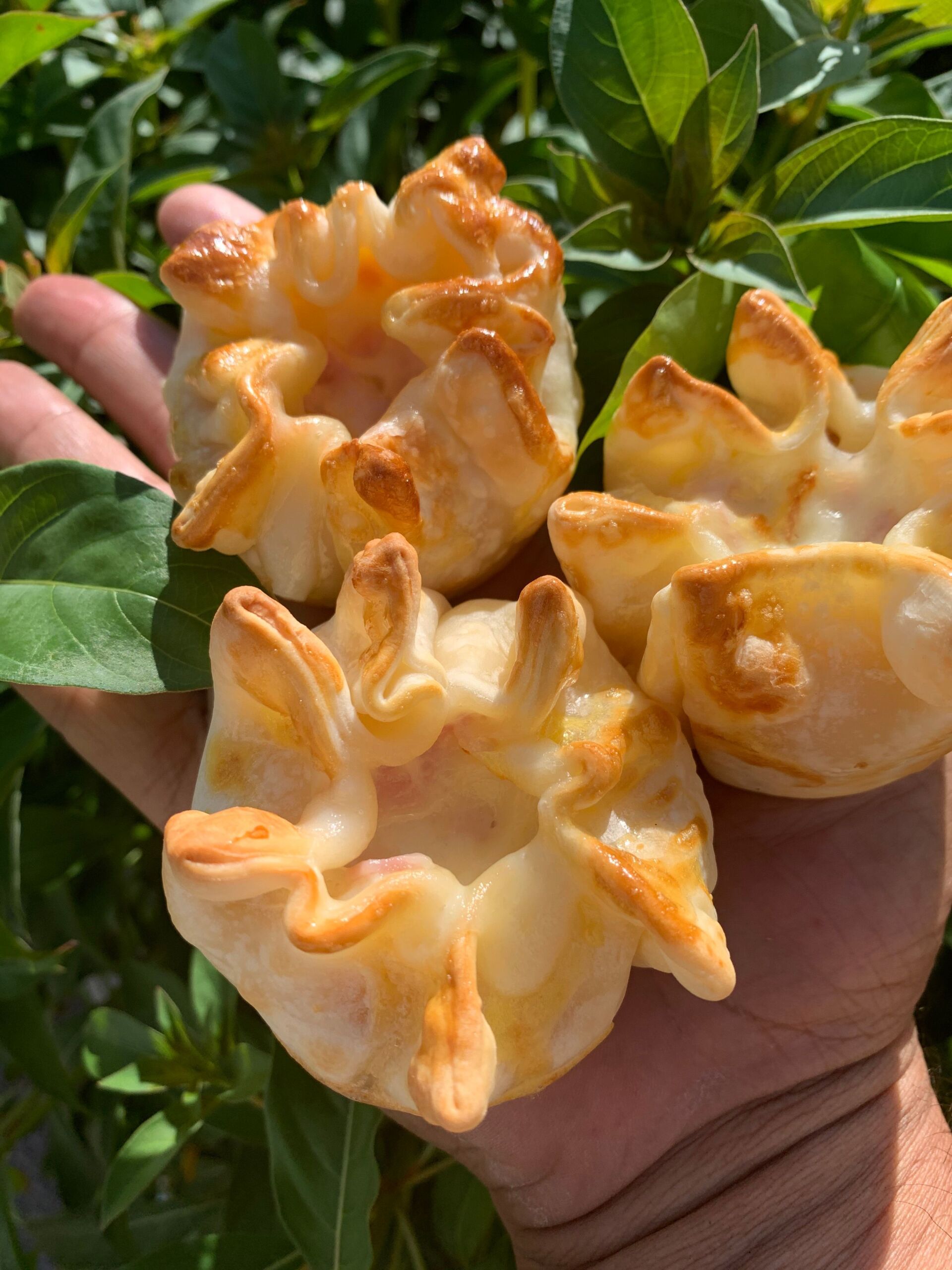 Hand holding three golden, baked pastry cups filled with cheese, outdoors.