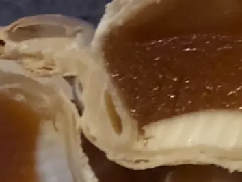 Close-up of a pastry, cut open to reveal creamy filling and jam-like topping.