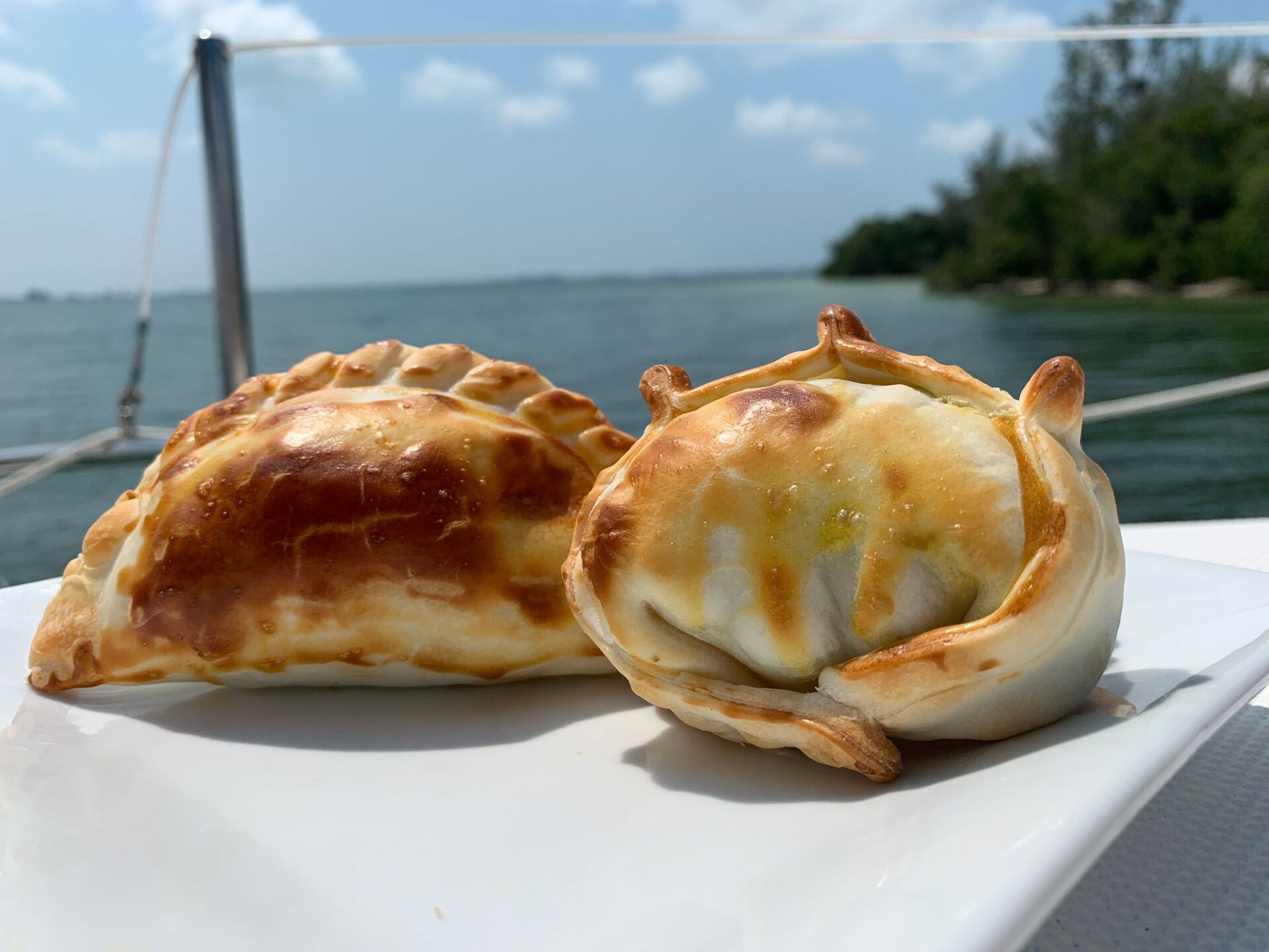 Two golden-brown empanadas on a white plate, with a seascape background.