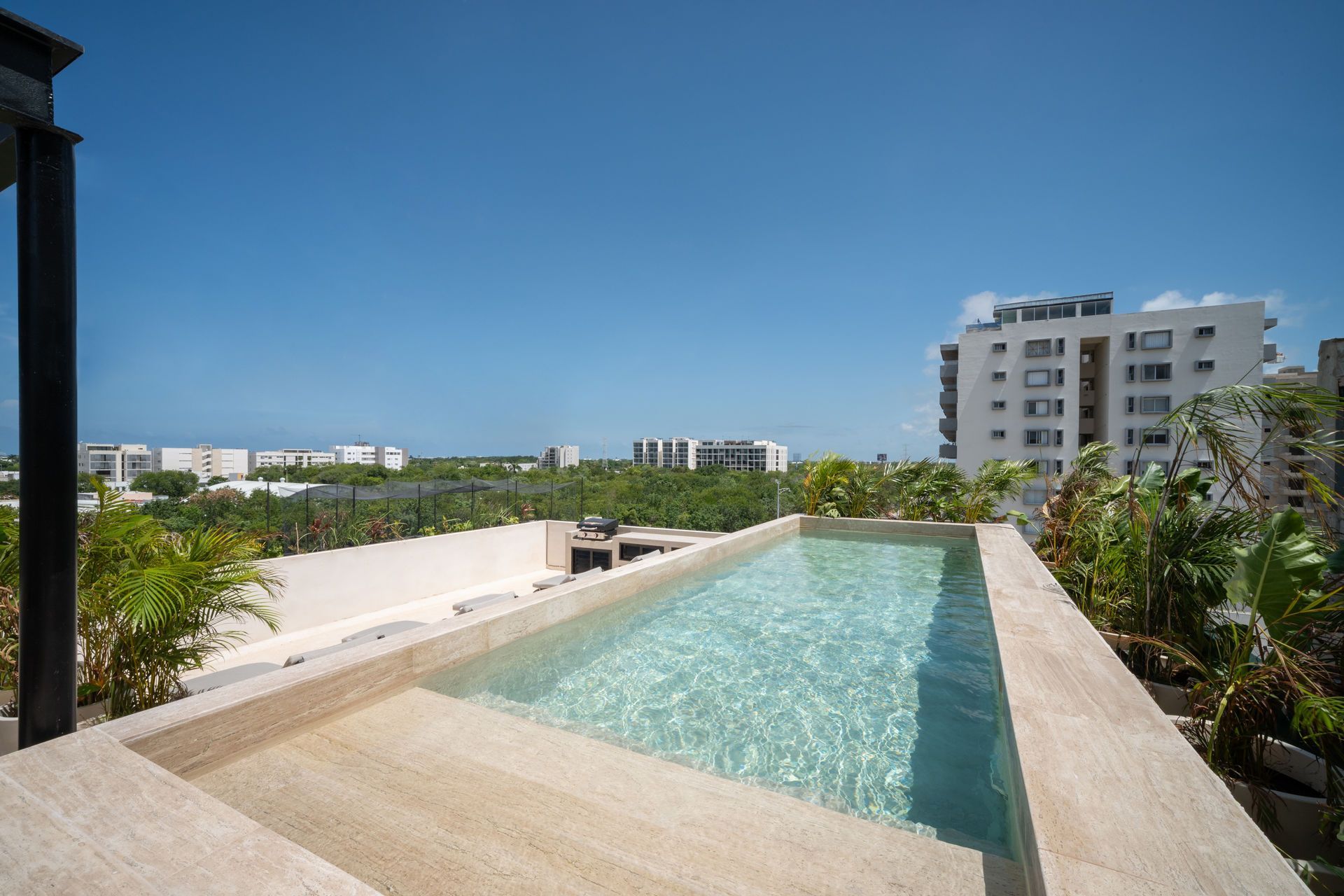 Una vista aérea de una playa con palmeras y olas.