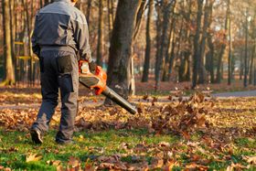 Person using a leaf blower to clear autumn leaves in a park Person using a leaf blower to clear autumn leaves in a park