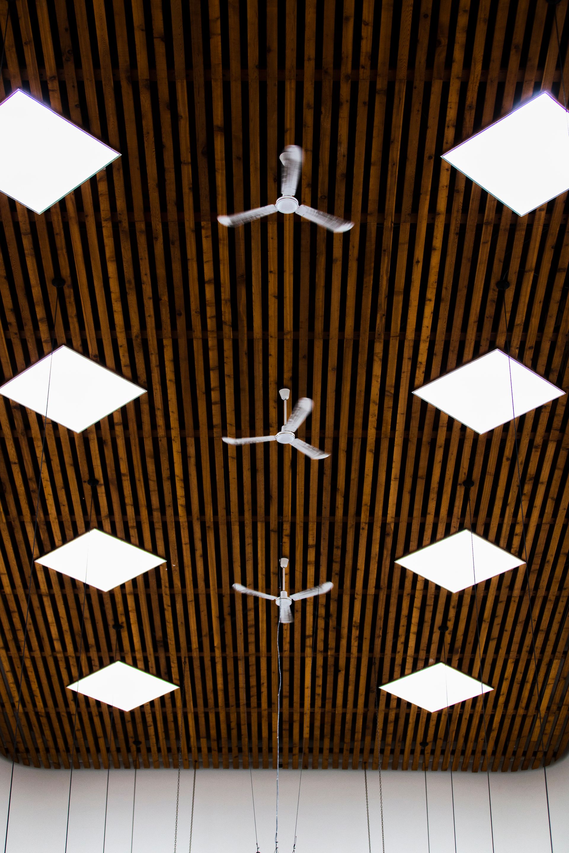 House Interior with Bulbs