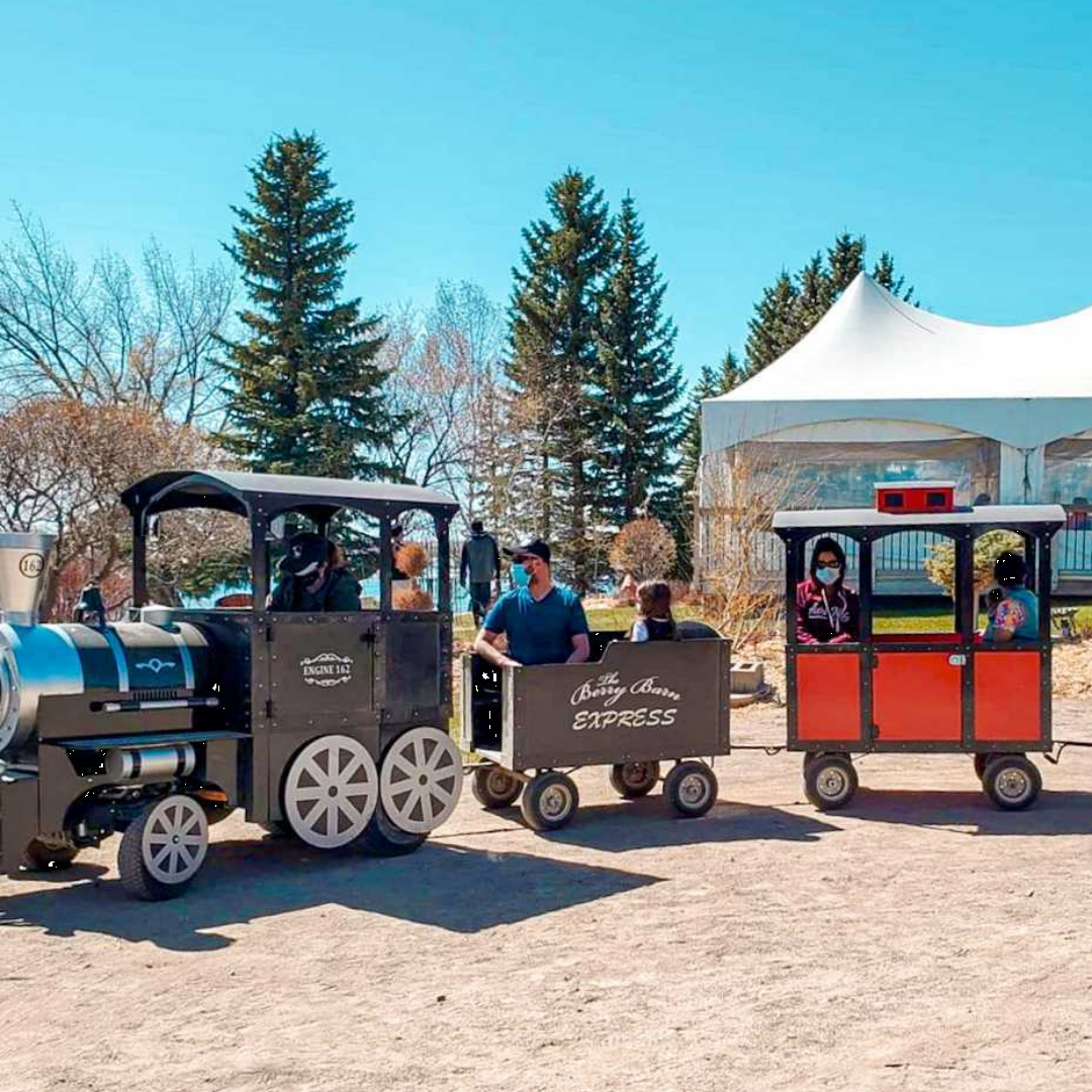 The Berry Barn Train