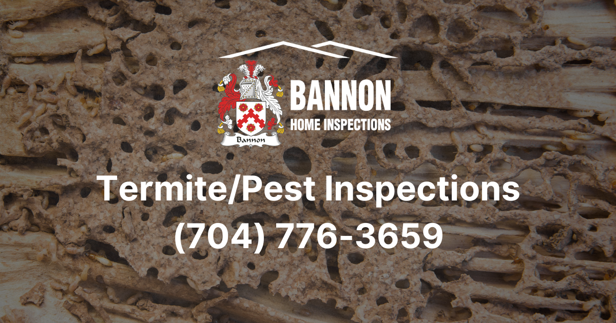 Termite Inspections Across NC & SC - Protect Your Home (704) 776-3659