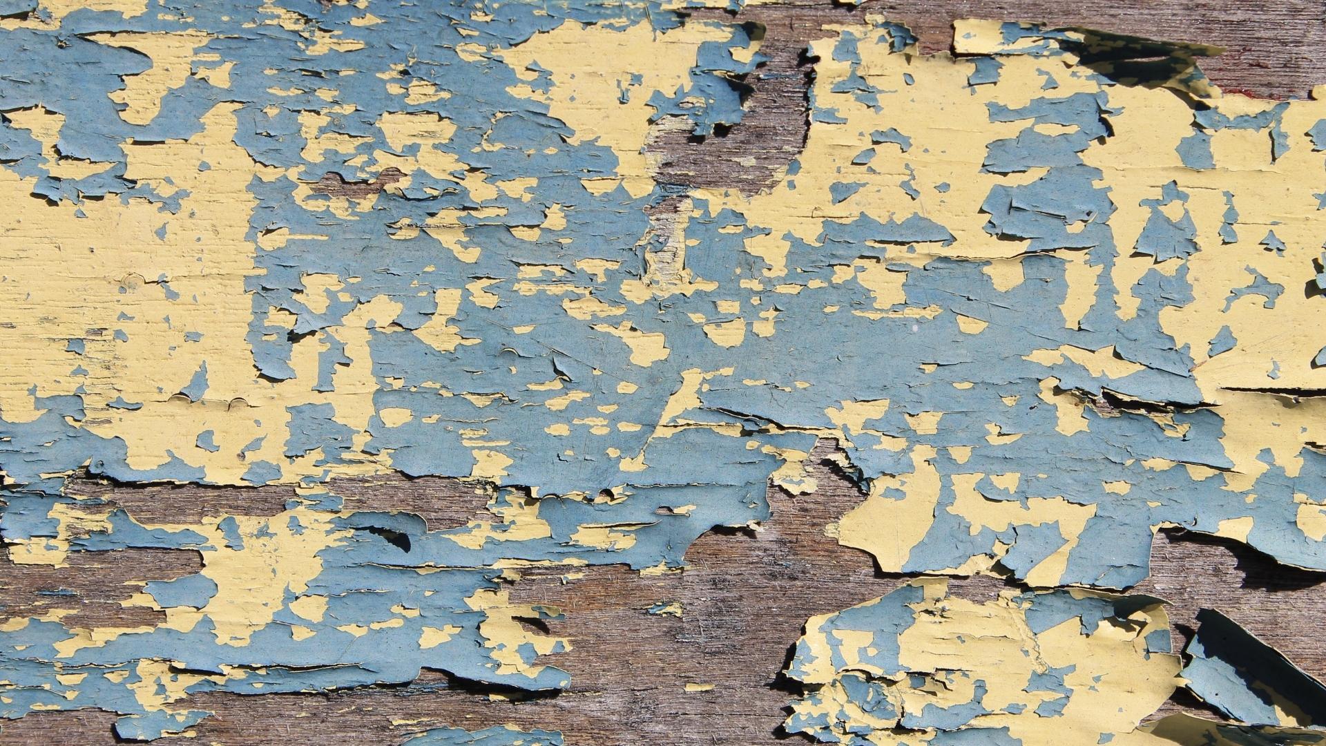 lead-based paint testing and HQS forms