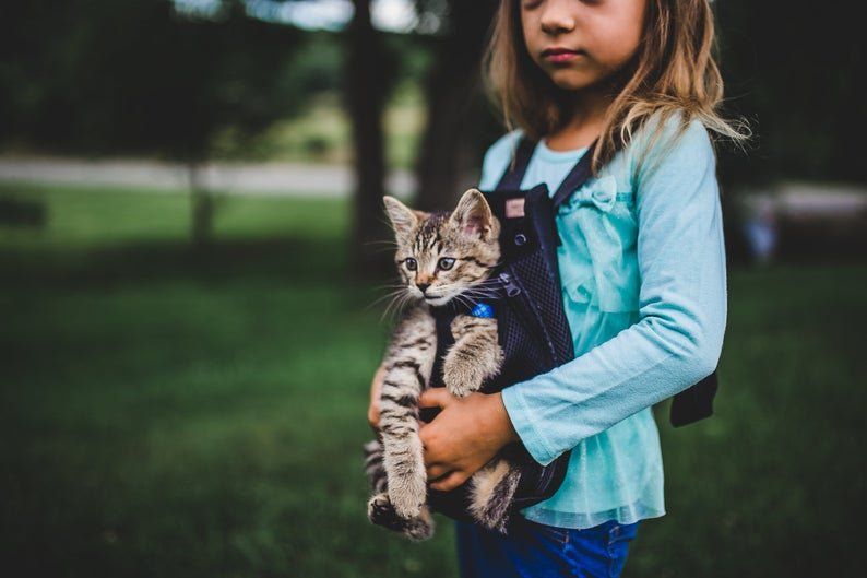 A little girl is holding a kitten in a backpack.