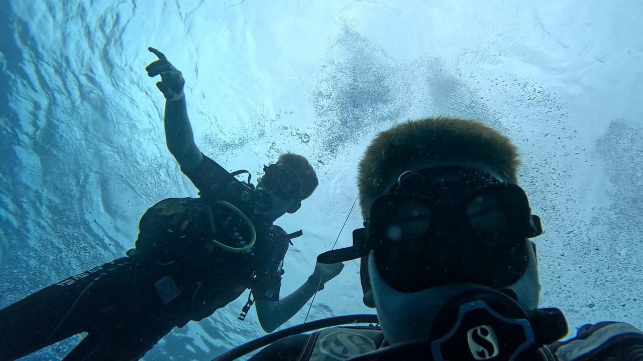 Two scuba divers underwater, one pointing up, bubbles rising; blue water.