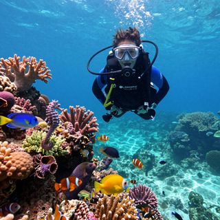 Scuba diver swimming above colorful coral reef in clear blue water