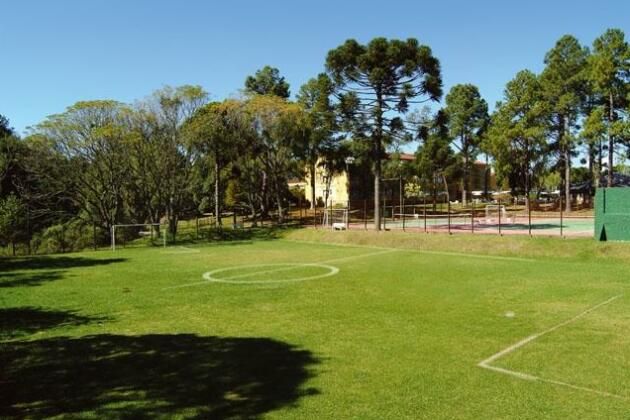 Um campo de futebol com árvores ao fundo em um dia ensolarado