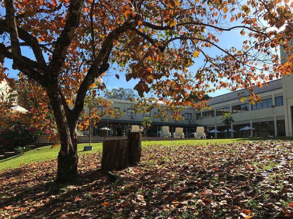 Um grande edifício com muitas folhas no chão em frente a ele.