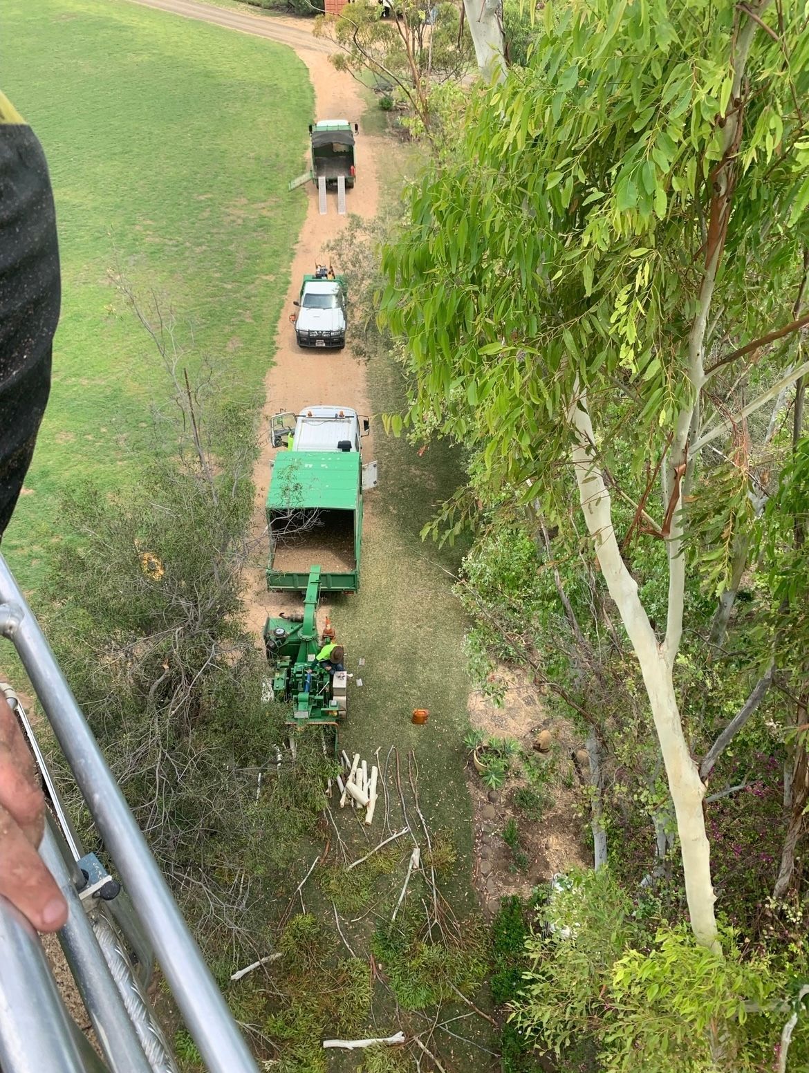 Wood Chipper Machine — Tree Services in Toowoomba Region