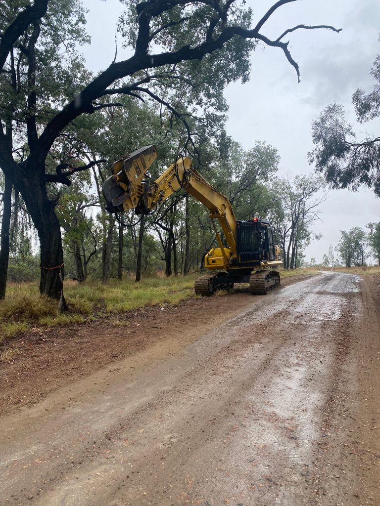 Old Lumber Collection with Remaining Stump — Arborist in Chinchilla, QLD