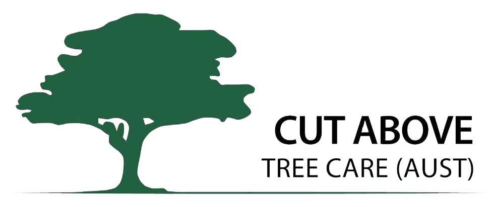 Cut Above Tree Care: Professional Tree Services in the Toowoomba Region