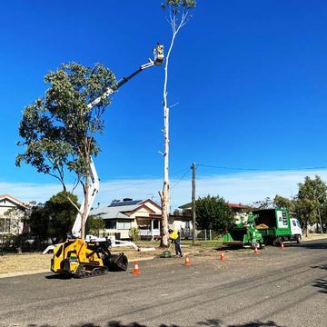 Arborist in Spider Lift — Tree Services in Toowoomba Region