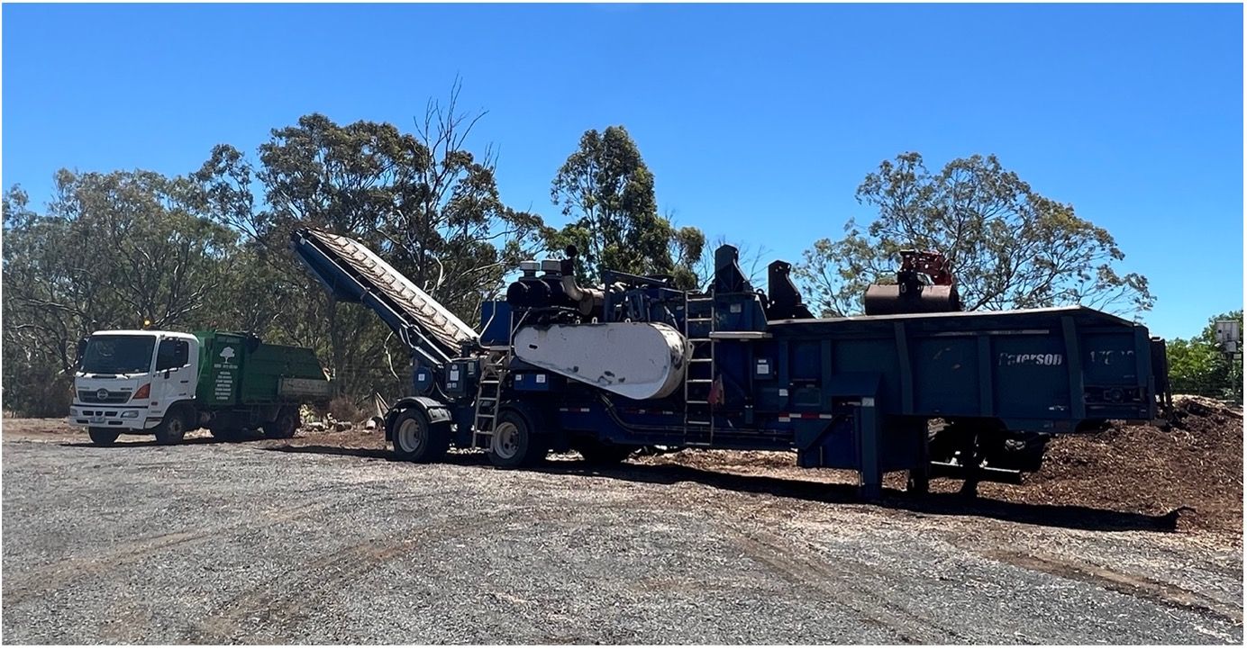 Man Saws a Trunk of Locust Trees — Tree Services in Toowoomba Region