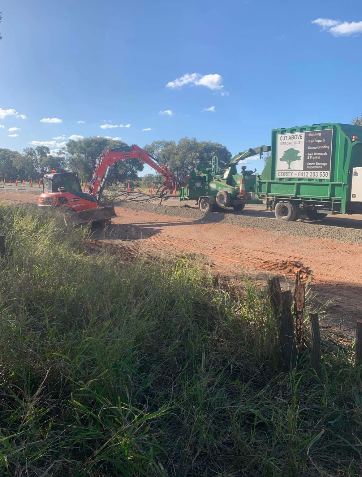 Spruce Tree Forestry Exploitation — Arborist in Roma, QLD