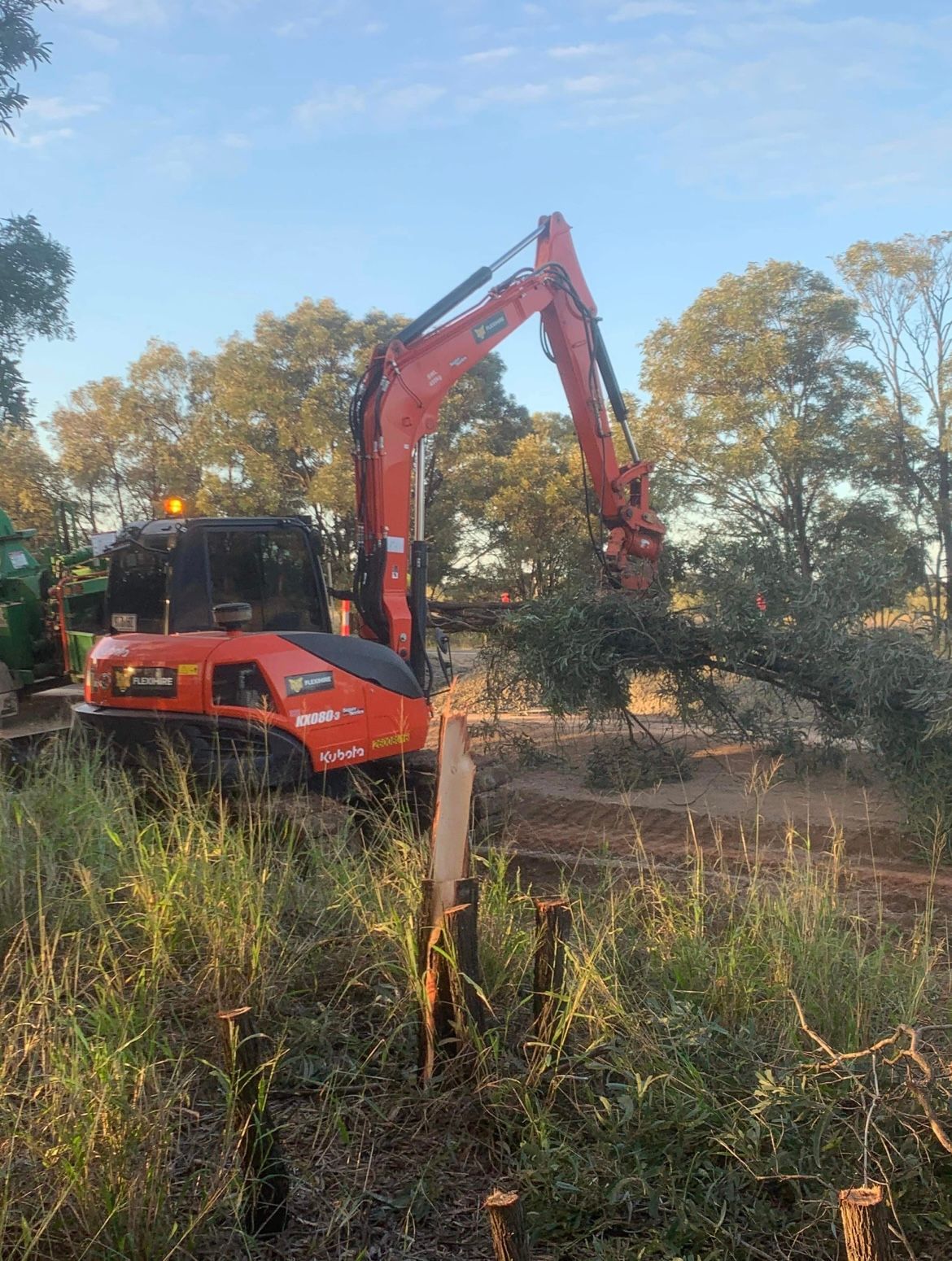 Some Cut Trees on Wayside — Road Clearing Toowoomba Region
