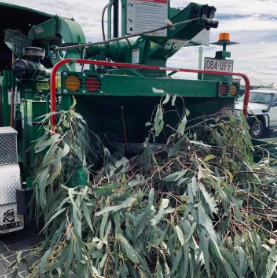 A green machine with a license plate that says 084 off