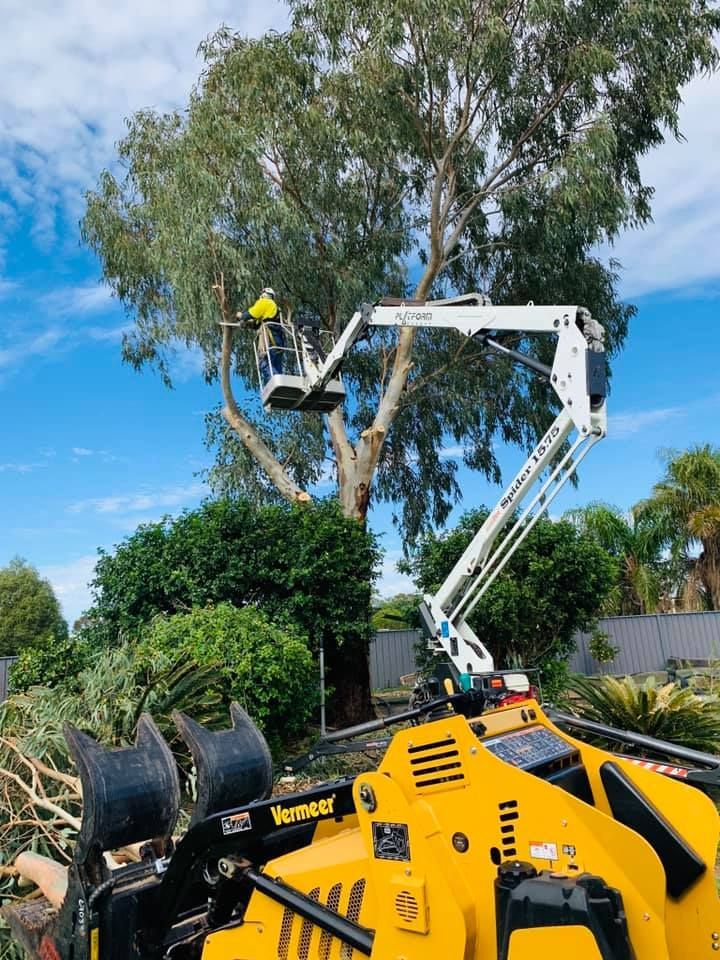 Plant Treatment Technology — Tree Services in Toowoomba Region