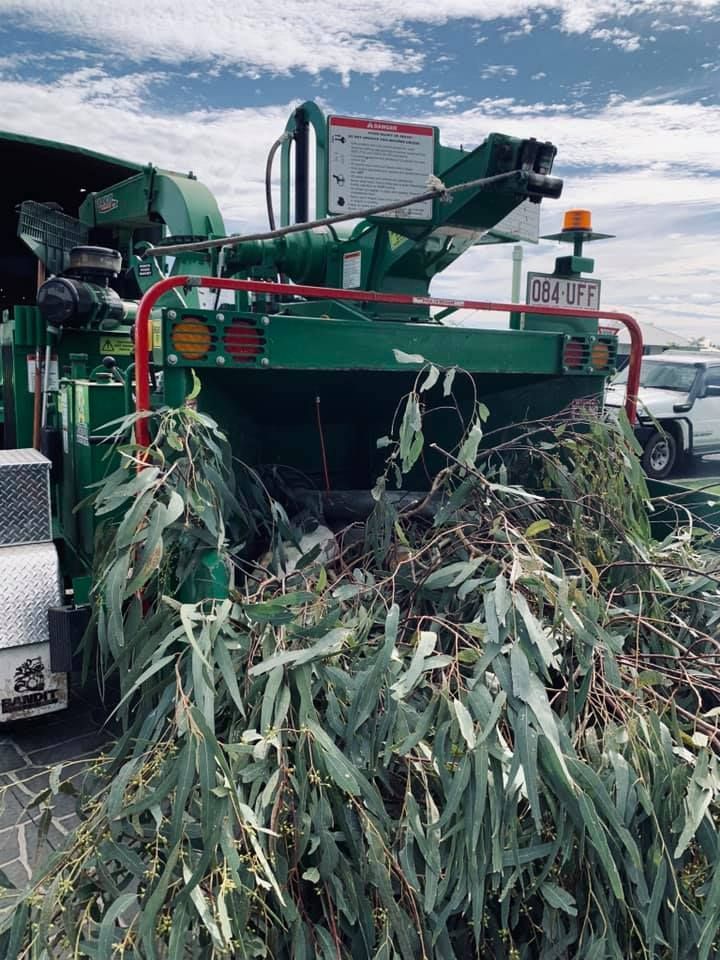 A green truck is carrying a pile of eucalyptus leaves.
