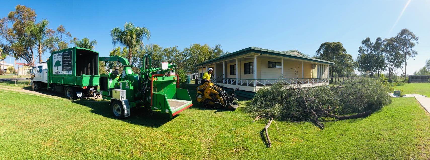 trees on the ground after tree removal