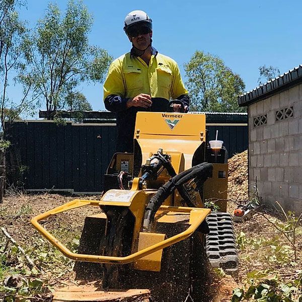 Arborist using a Stump Grinder — Tree Services in Toowoomba Region