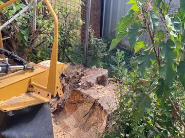 Stump being Grinded — Tree Services in Toowoomba Region