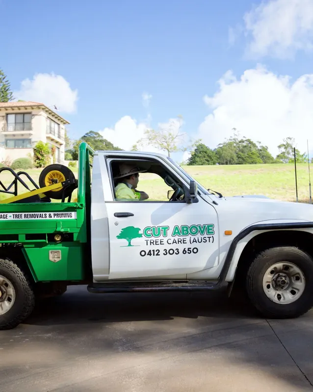 Arborists' Tipper Truck in the Forest — Tree Services in Toowoomba Region