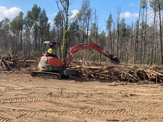 Arborist using 4t Excavator — Tree Services in Toowoomba Region