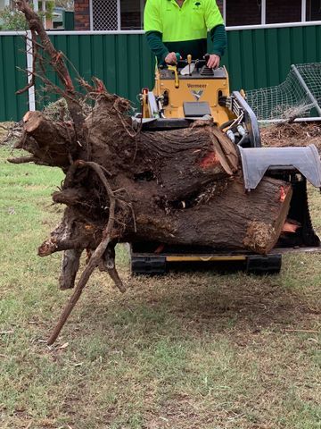 Tree Stump being Removed — Tree Services in Toowoomba Region