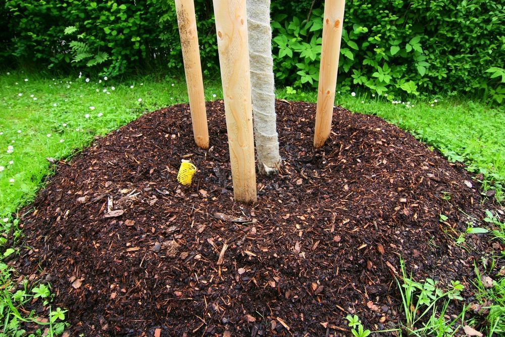 tree mulching