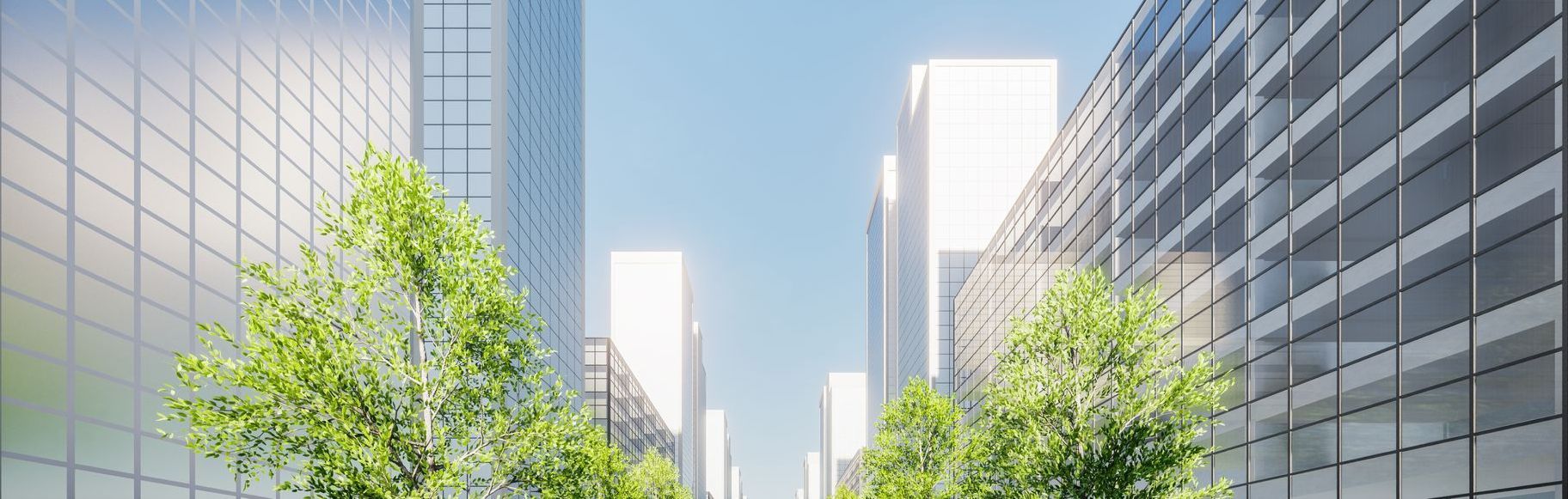 city street with trees and tall buildings.