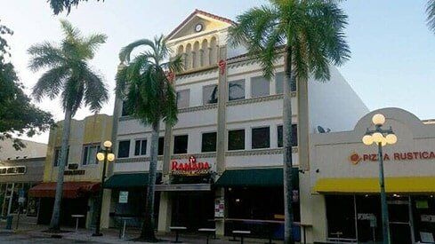 Palm Trees - Commercial Painting Services in Hollywood, FL