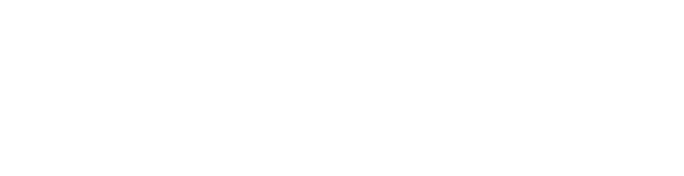 Bullsai White Logo - Web Design Company
