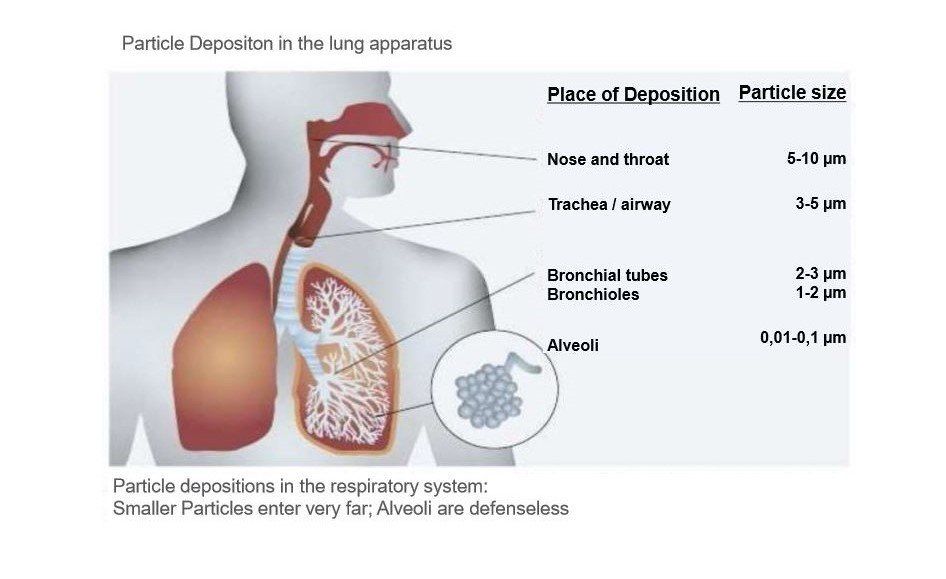 Particle desposition in the lung apparatus