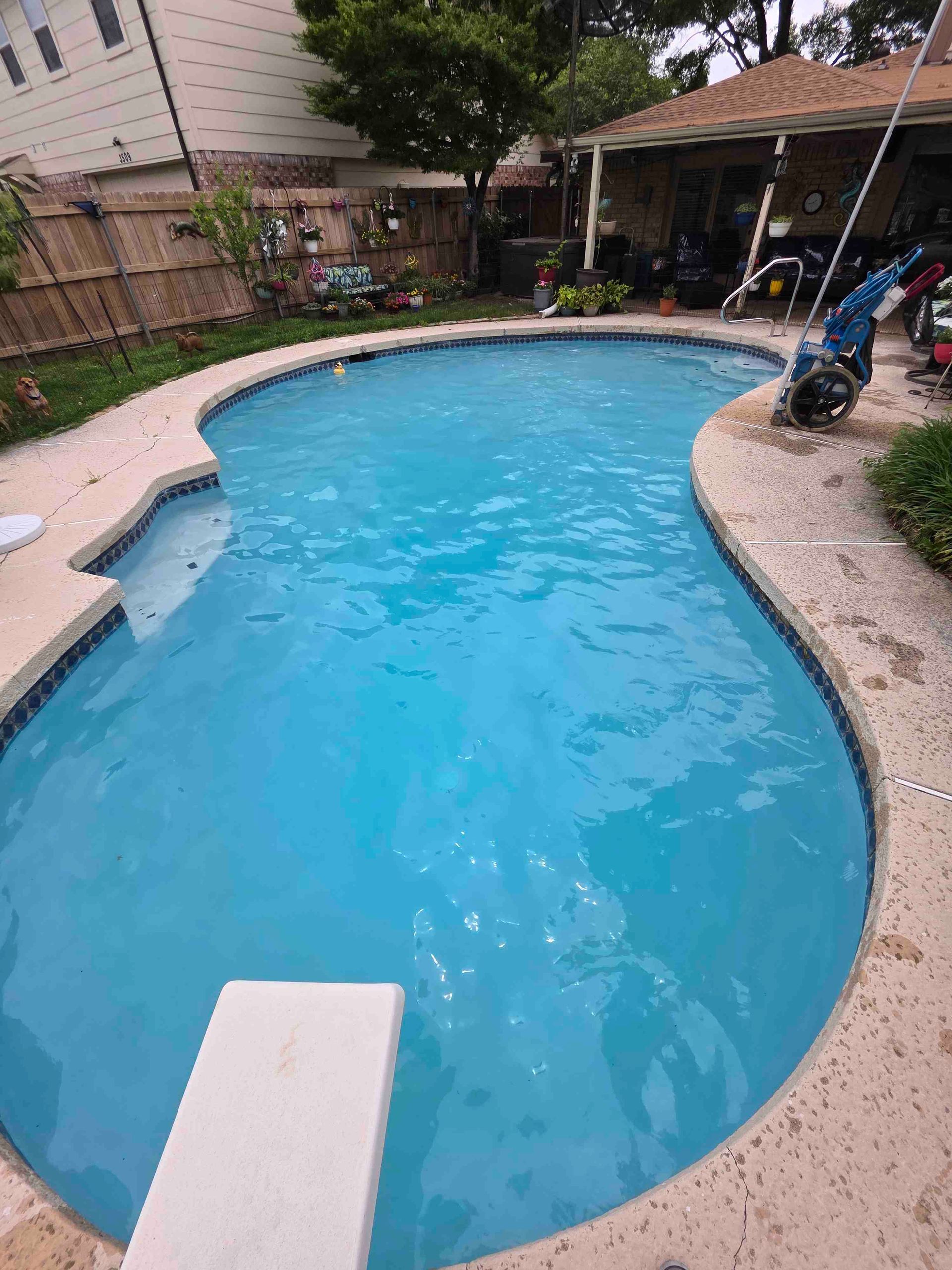 Pool with blue water and concrete coping, diving board, and adjacent landscaping.
