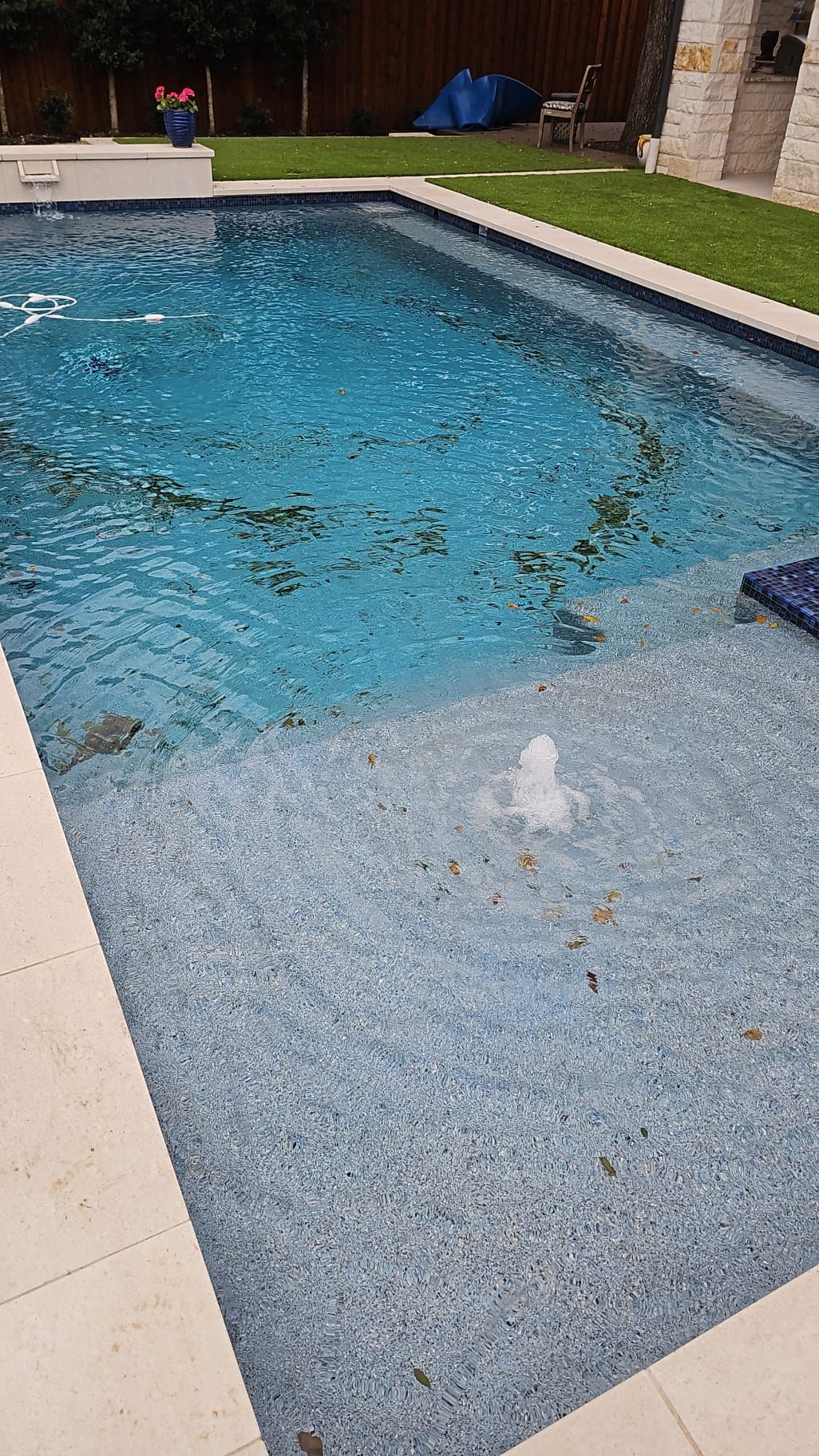 Swimming pool with blue water and light-colored tile surround, partially filled with debris, set outdoors near green grass.
