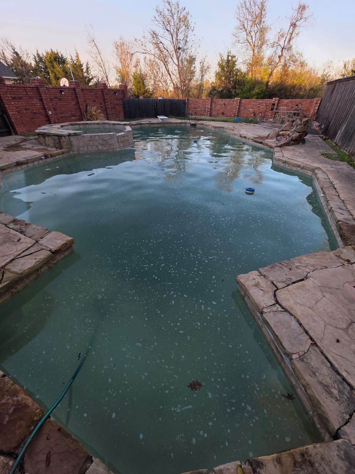 Overgrown pool with murky green water. Surrounded by stone edging, brick wall, and bare trees in background.