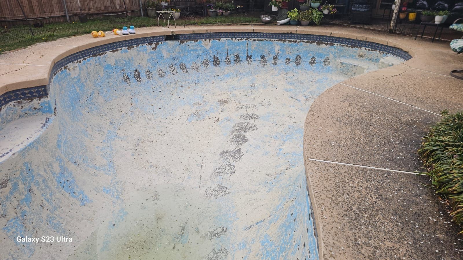 Empty, oval-shaped swimming pool with peeling blue paint, surrounded by concrete and grass.