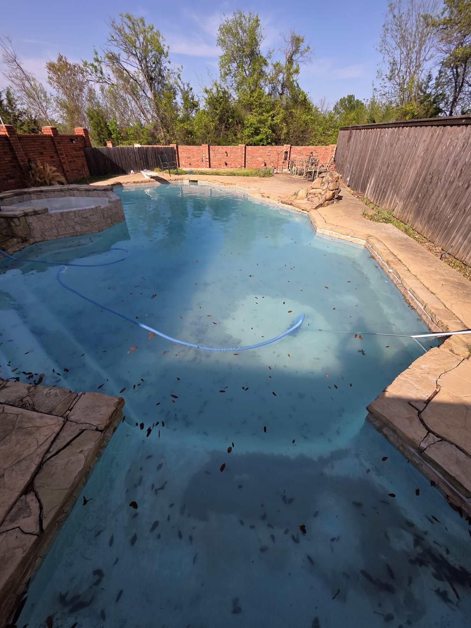 Dirty outdoor swimming pool with blue water and debris. Brick wall and trees in background.