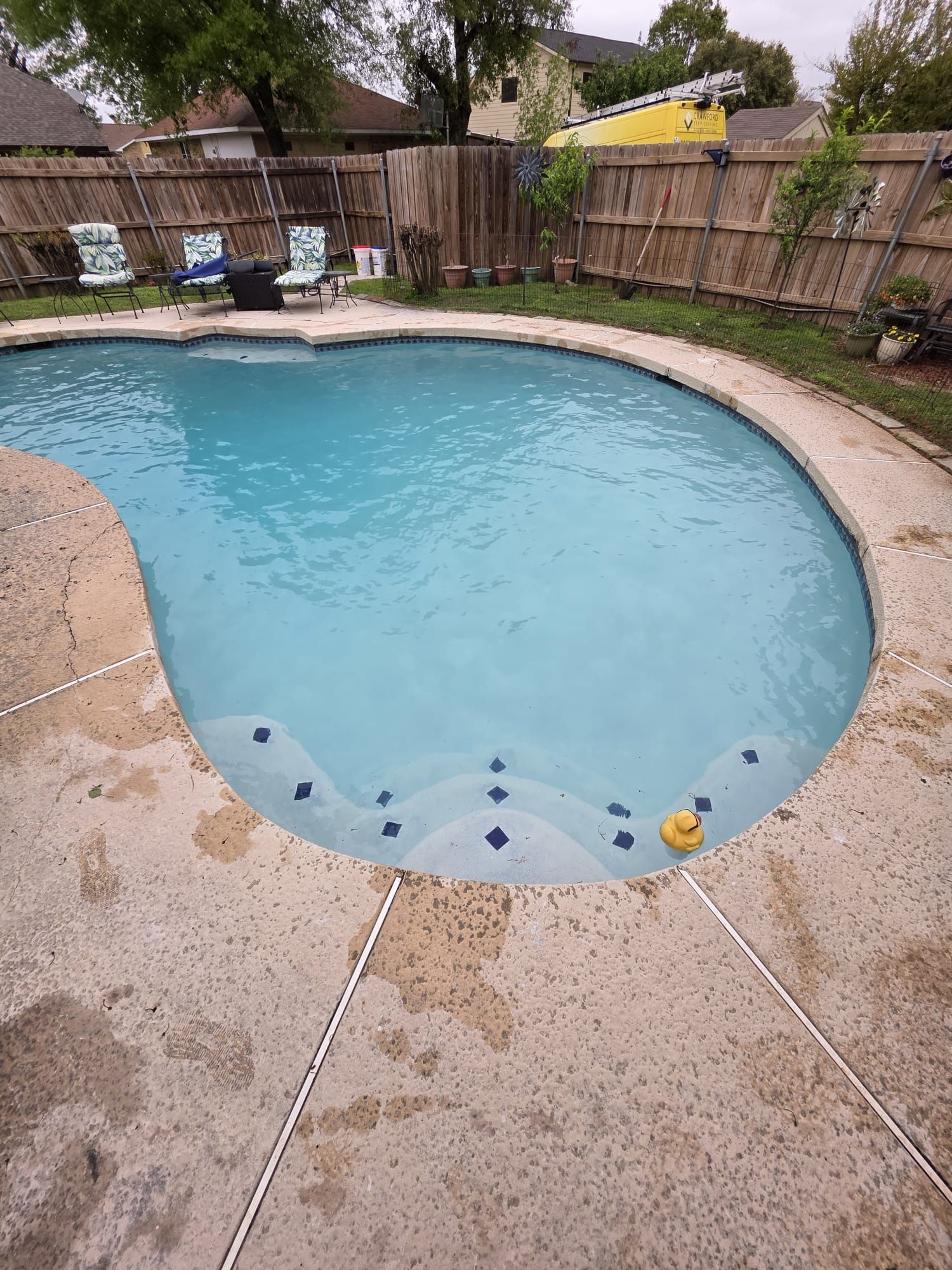 A kidney-shaped swimming pool with blue water surrounded by a concrete deck and a wooden fence.
