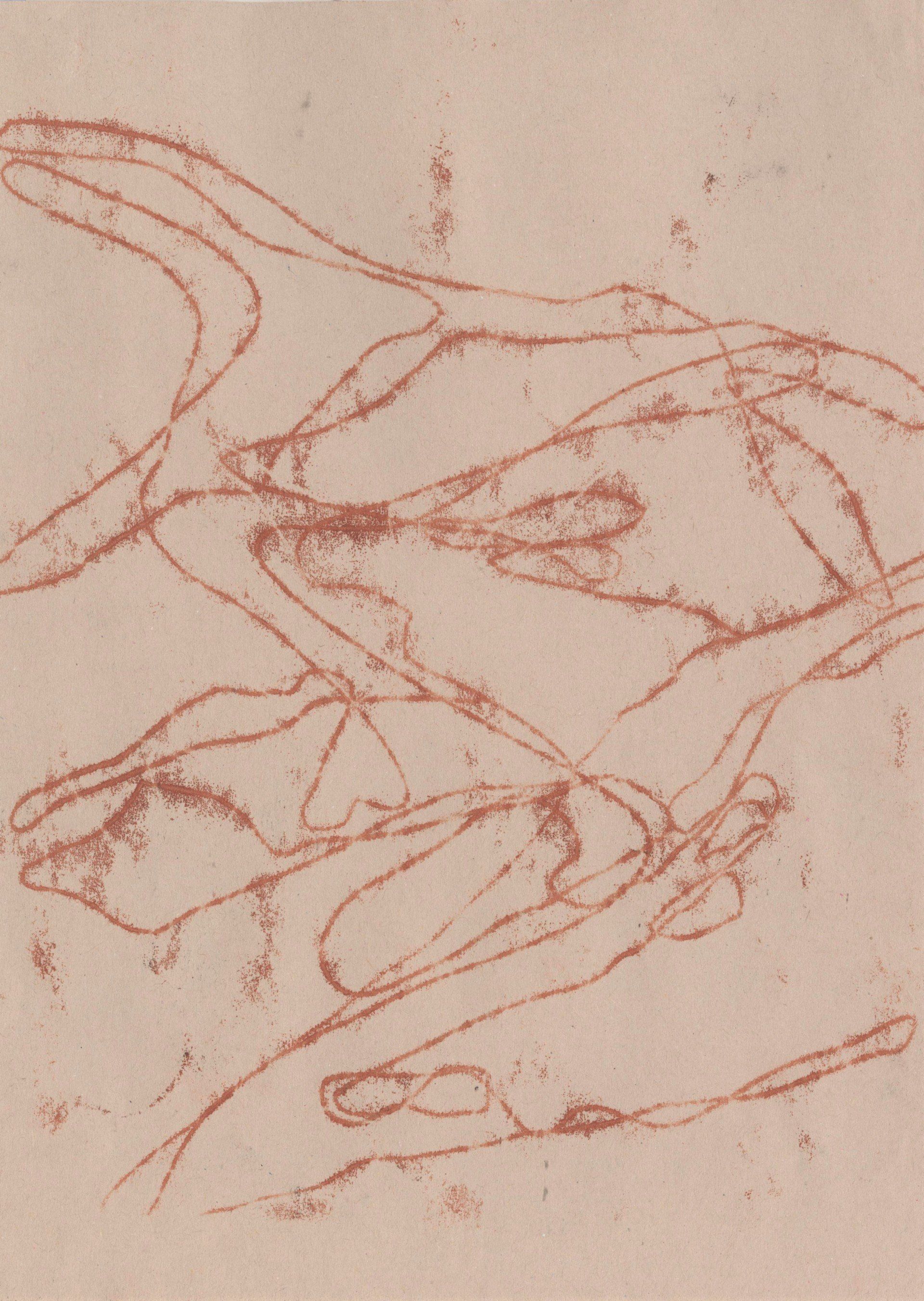 Abstract line drawing in red ink on light brown paper by Siobhan McLaughlin