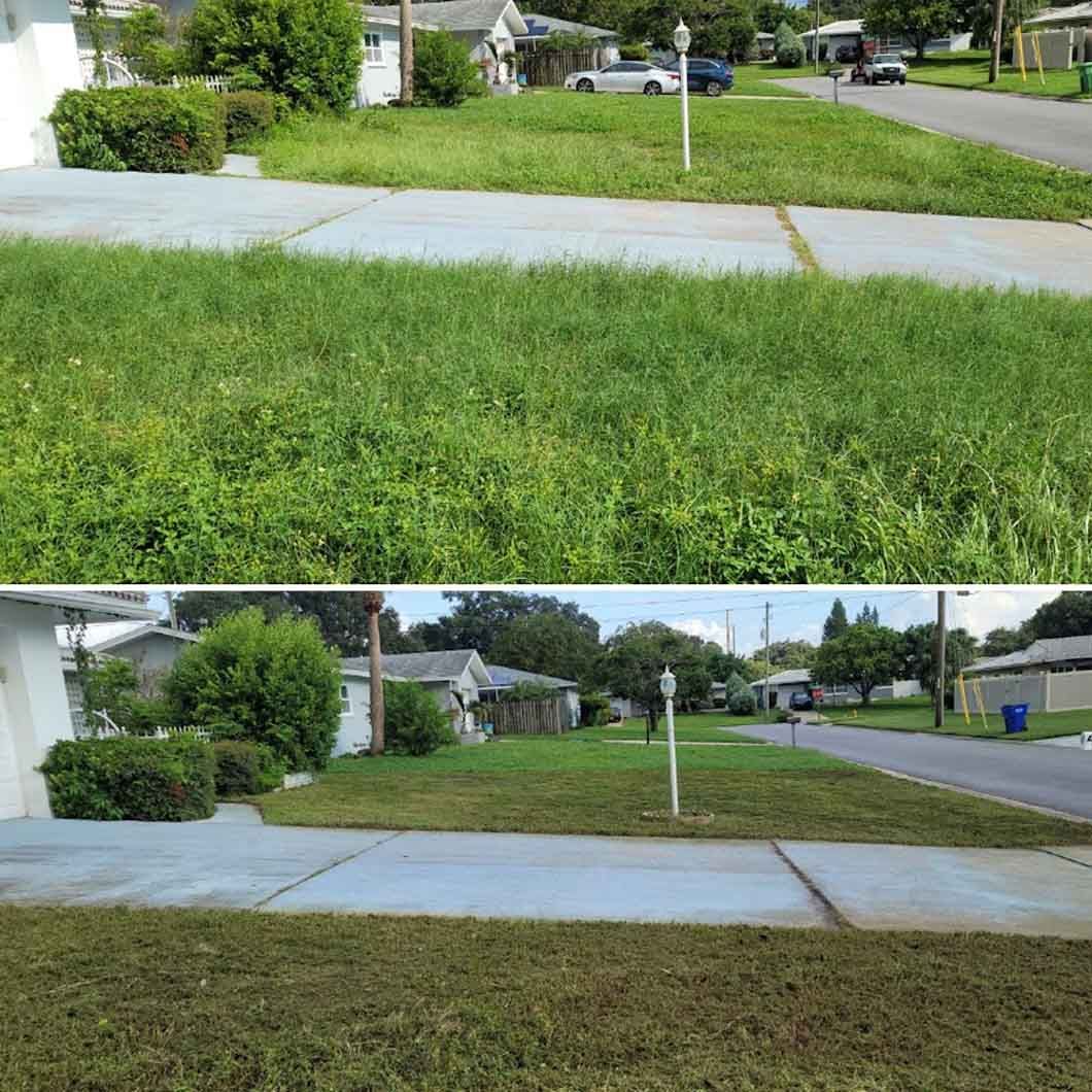 A before and after picture of a lawn in a residential neighborhood.