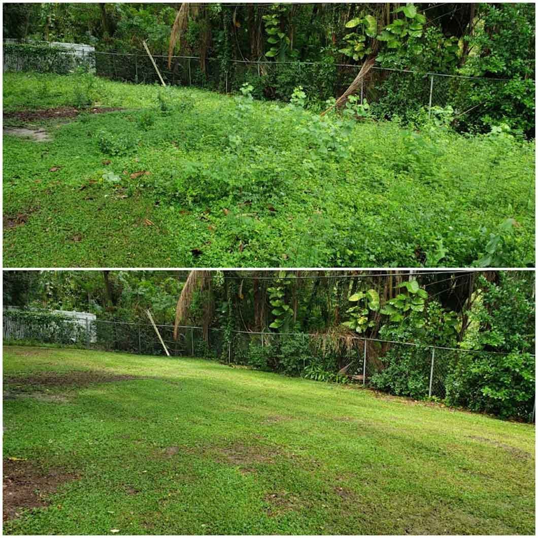 A before and after picture of a lush green lawn.