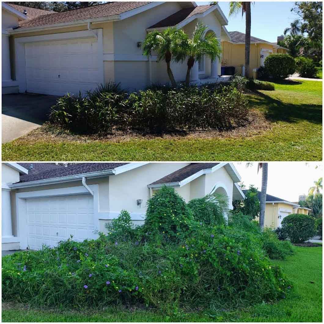 A before and after picture of a house with a lot of plants in front of it.