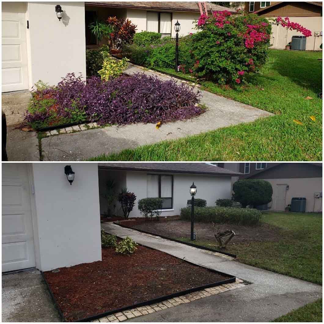A before and after picture of a house 's front yard.