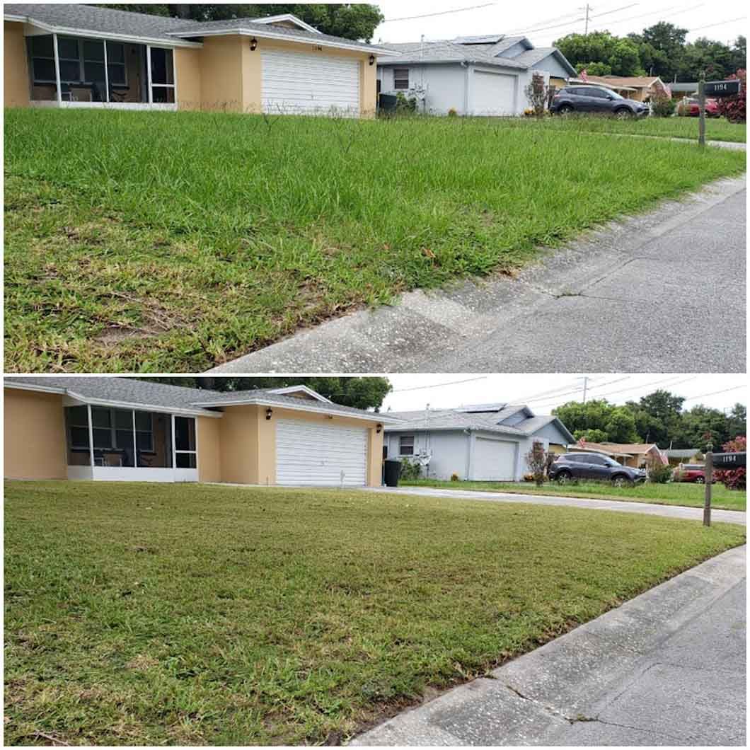 A before and after picture of a lawn in front of a house.