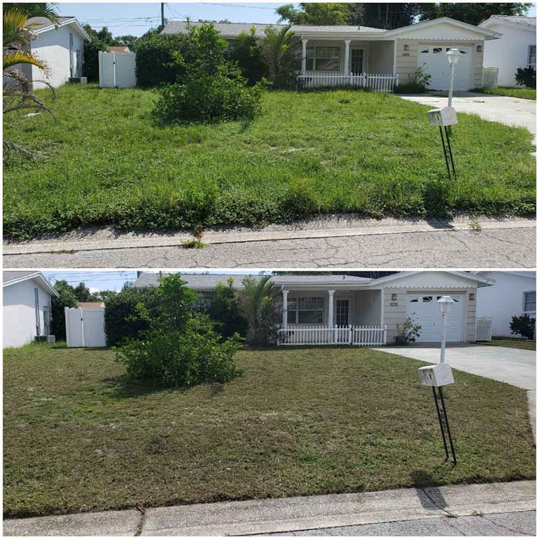 A before and after picture of a lawn in front of a house.